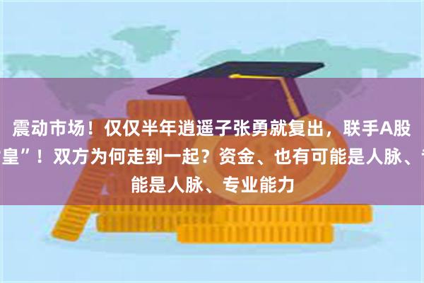 震动市场！仅仅半年逍遥子张勇就复出，联手A股“并购女皇”！双方为何走到一起？资金、也有可能是人脉、专业能力