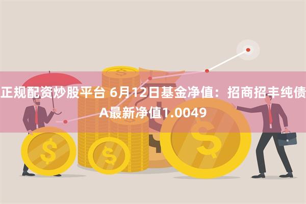 正规配资炒股平台 6月12日基金净值：招商招丰纯债A最新净值1.0049