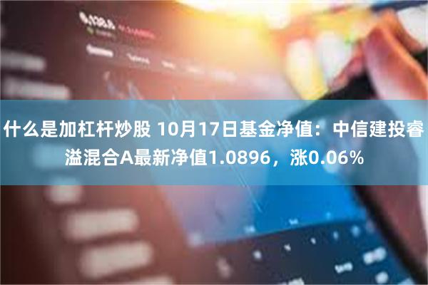 什么是加杠杆炒股 10月17日基金净值：中信建投睿溢混合A最新净值1.0896，涨0.06%