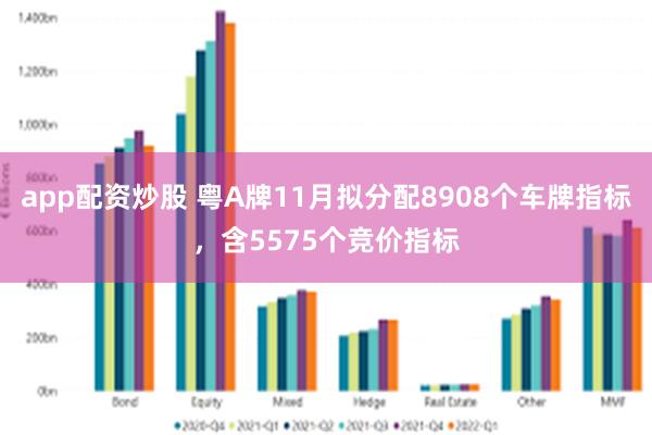 app配资炒股 粤A牌11月拟分配8908个车牌指标，含5575个竞价指标