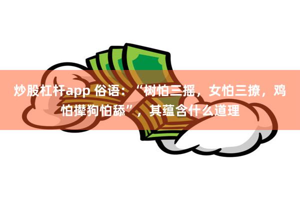 炒股杠杆app 俗语：“树怕三摇，女怕三撩，鸡怕撵狗怕舔”，其蕴含什么道理