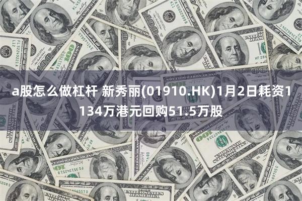 a股怎么做杠杆 新秀丽(01910.HK)1月2日耗资1134万港元回购51.5万股