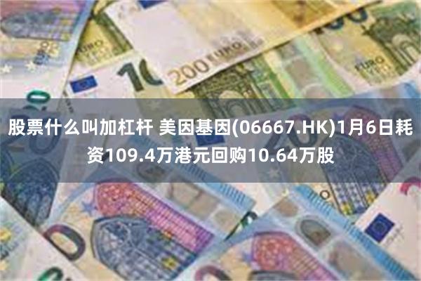 股票什么叫加杠杆 美因基因(06667.HK)1月6日耗资109.4万港元回购10.64万股