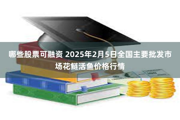 哪些股票可融资 2025年2月5日全国主要批发市场花鲢活鱼价格行情