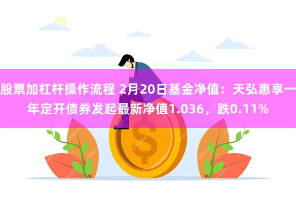 股票加杠杆操作流程 2月20日基金净值：天弘惠享一年定开债券发起最新净值1.036，跌0.11%