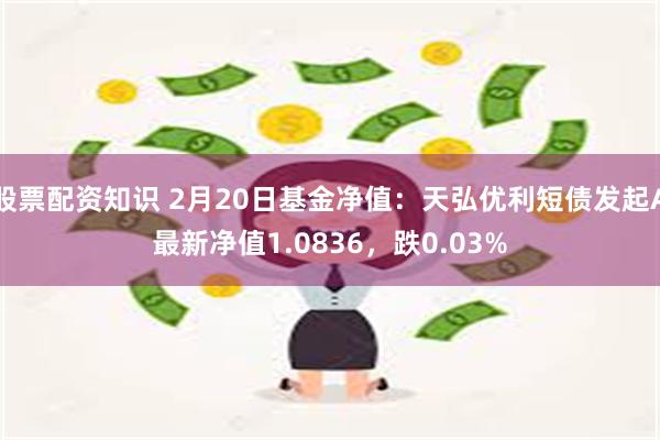 股票配资知识 2月20日基金净值：天弘优利短债发起A最新净值1.0836，跌0.03%